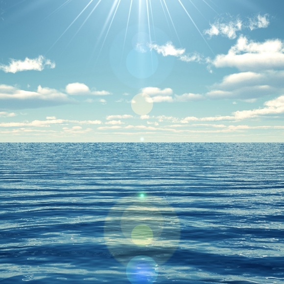 Meet your Posher, Katie - Picture 1 of 1